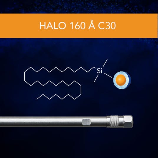 HALO C30 HPLC Columns from Advanced Materials Technology