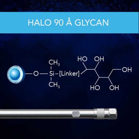 HALO® BioClass Glycan