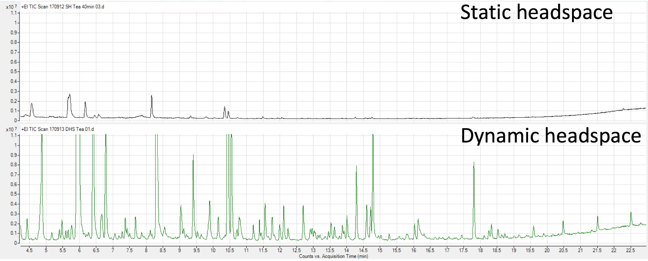 Chromatograms from extraction of dry tea samples (1g) using both static and dynamic headspace sampling
