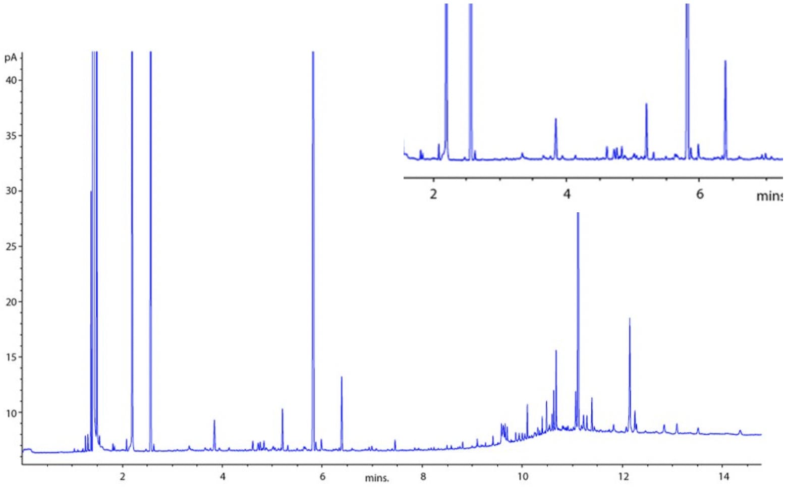 GC chromatogram showing baseline spikes