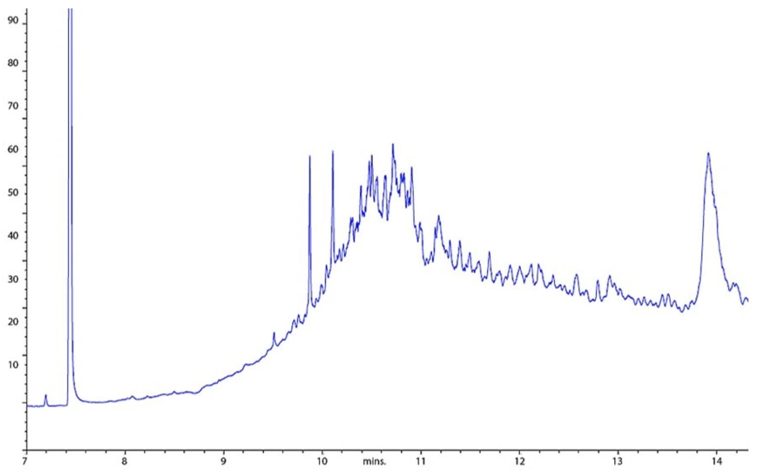 GC chromatogram showing baseline disturbance of regularly spaced later eluting peaks and underlying baseline ‘hump’.