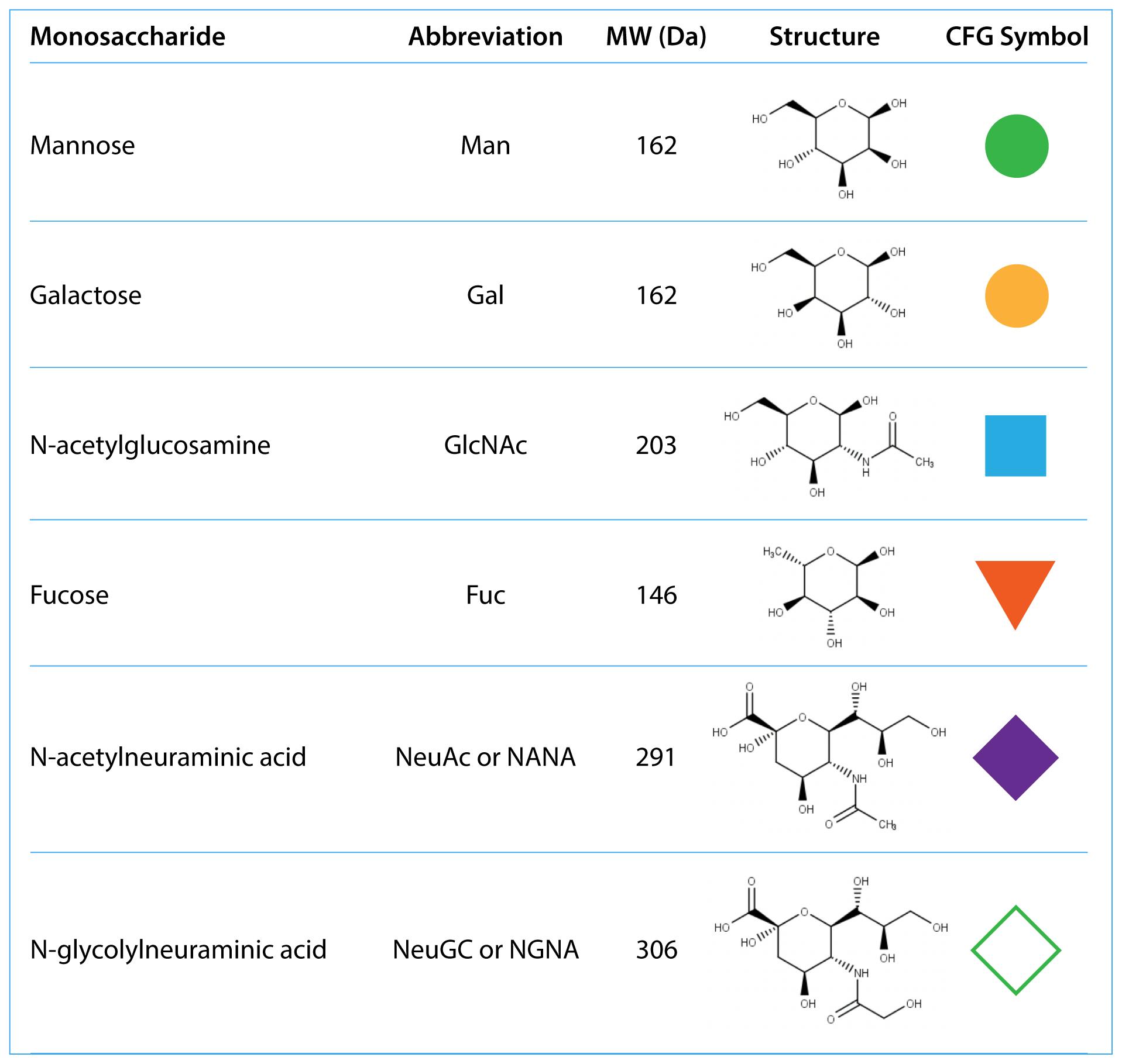 Common monosaccharides found in mAbs. CFG stands for Consortium of Functional Glycomics