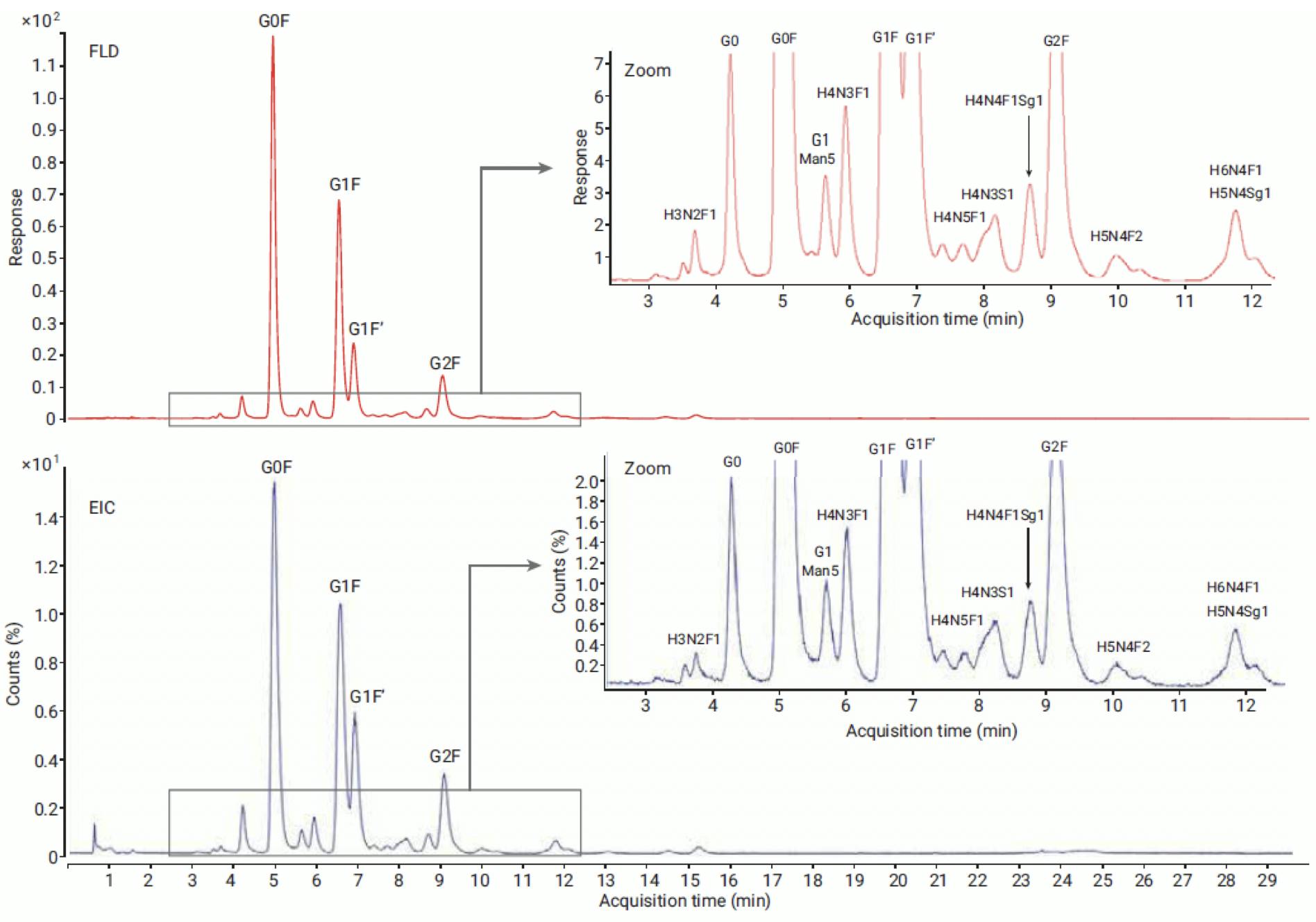 Comparison of FLD (top) and MS EIC (bottom) profile of NISTmAb released glycans labelled with InstantPC