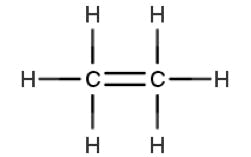 HPLC UV detection