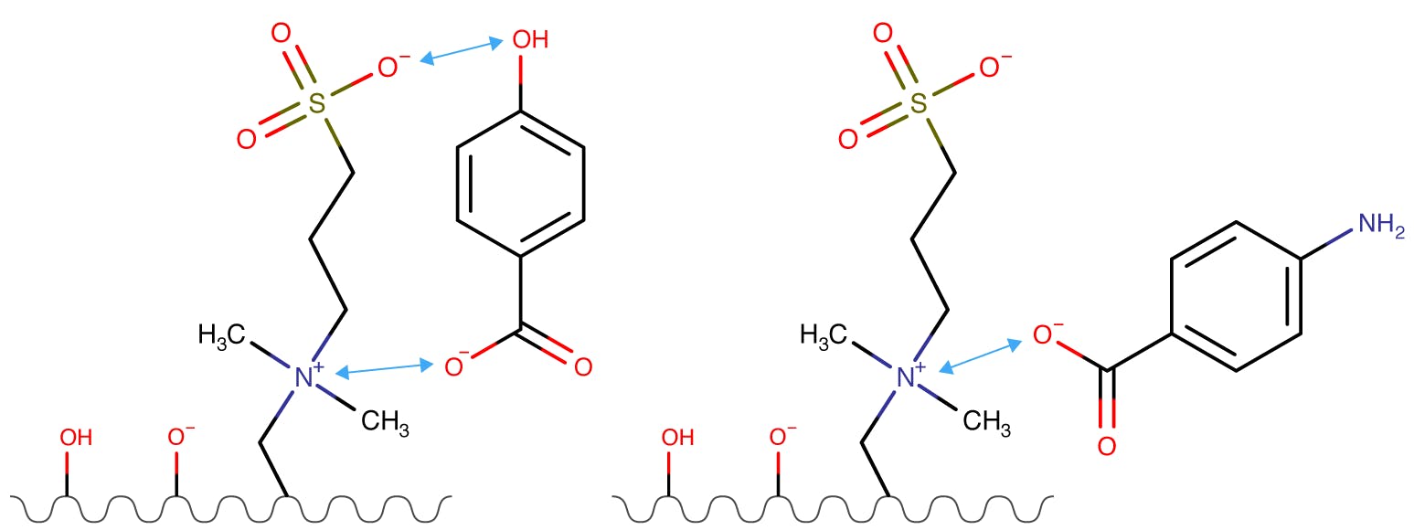Interactions of 4 hydroxy benzoic acid and 4 amiono benzoic acid (right) with a zwitterionic stationary phase.